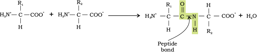 71148.png