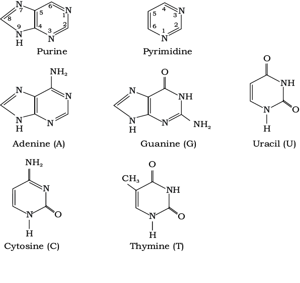 71507.png