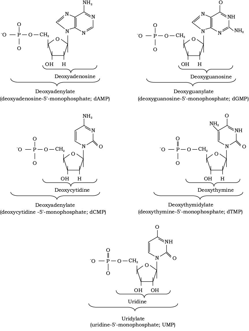 71570.png