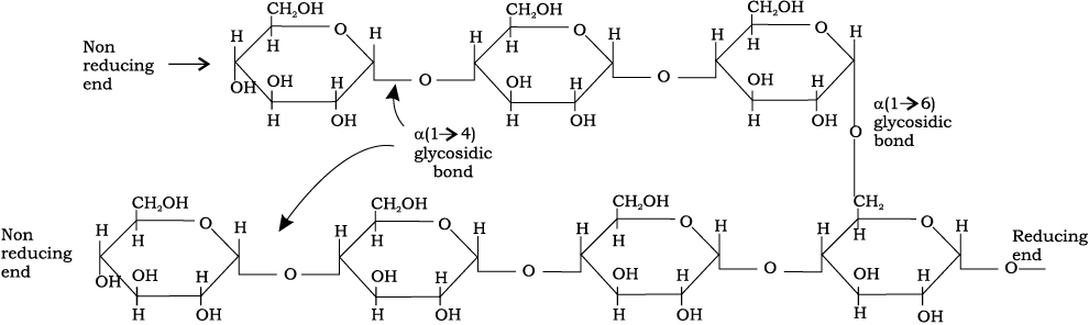 72226.png