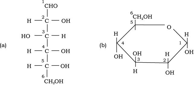 72751.png