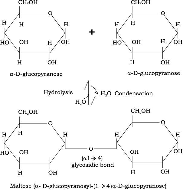 72998.png