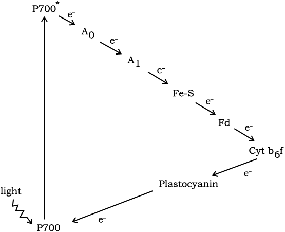65735.png