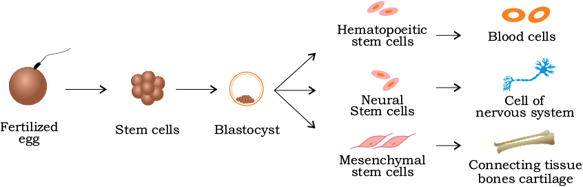 68674.png