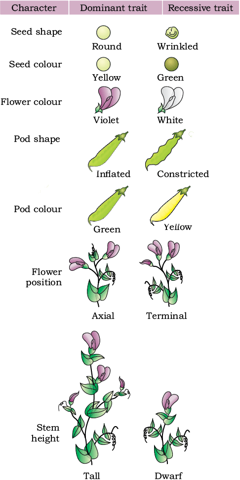 40008.png