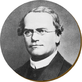 Gregor%20Shawn%20Mendel.tif