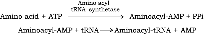65677.png