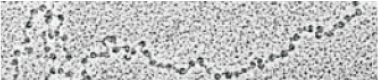 75487.png