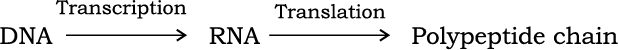 76180.png