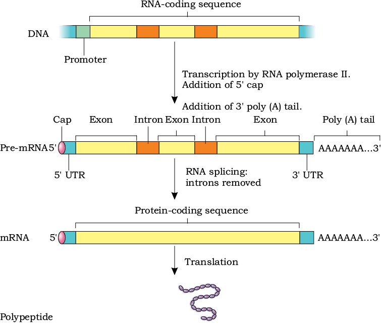 76353.png