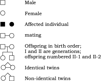 39198.png