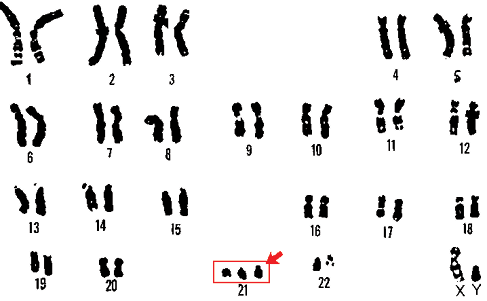 Fig%208_1%20(1).png