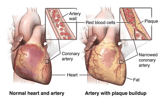 Fig%208_1%20(7).jpg