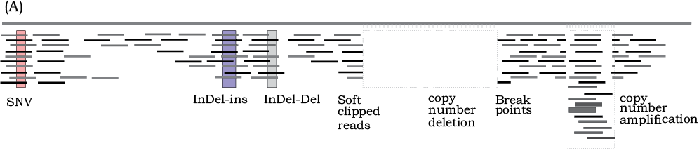 43991.png