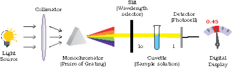 50383.png