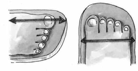 shoe.jpg