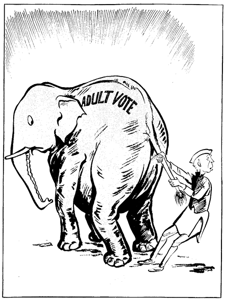 elephant.tif