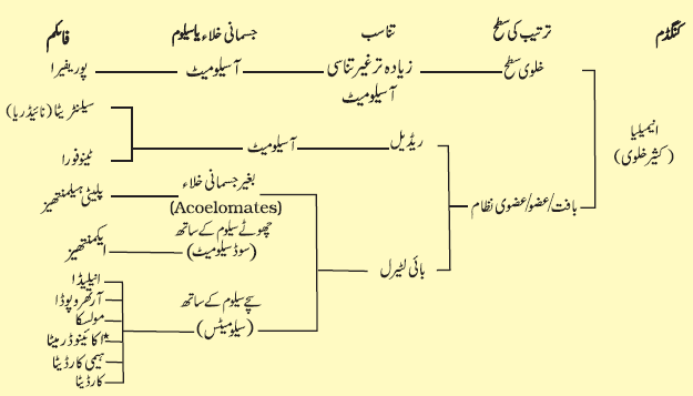 Pic4 Capture4