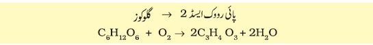 Pic12 Capture9