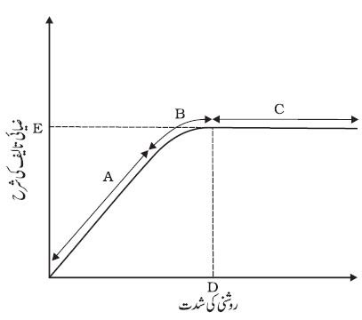 Pic16 Captur13