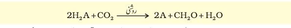 Pic3 Capture13