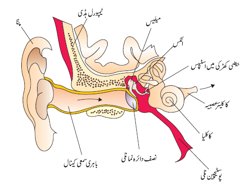 7th