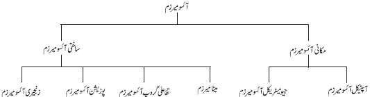 5166_Keemiyan II_Ch12_378d