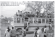 PIC_31