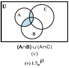 z91