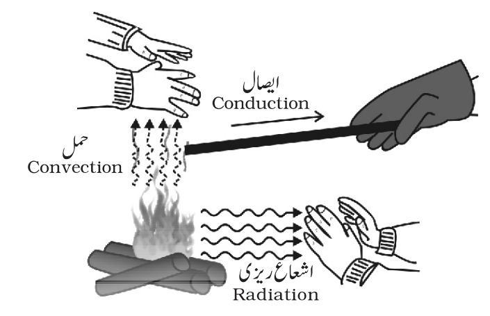 شعاع