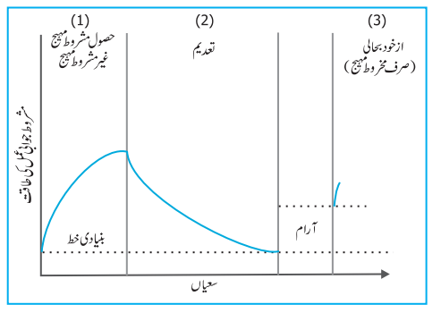 pic-5