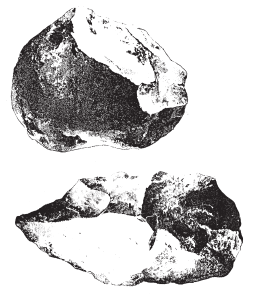 TC1-28
