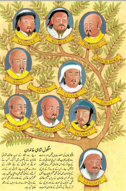 TC5-8