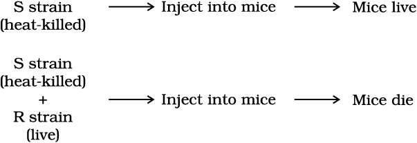 1204.png