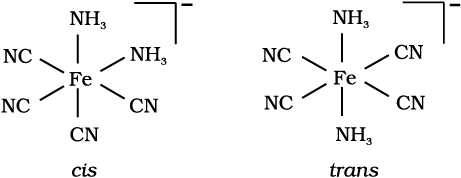 2877.png