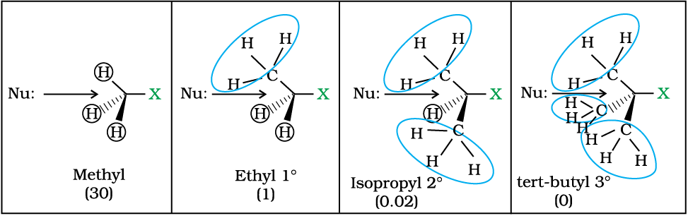 3319.png