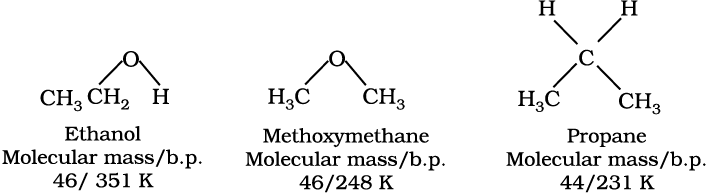 3396.png