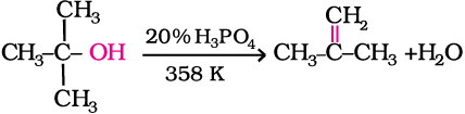 3591.png