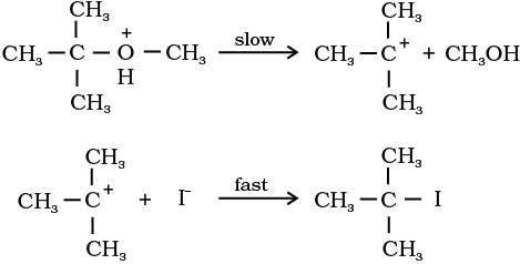 4139.png