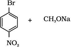 4233.png