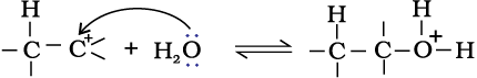 4392.png