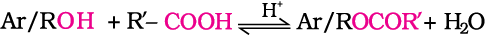 4625.png