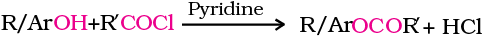 4645.png