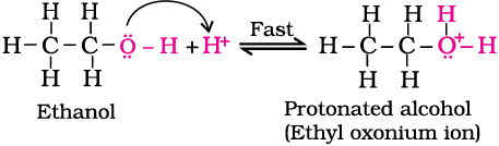 4673.png