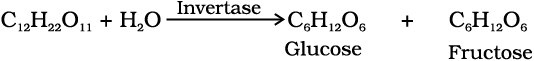 4845.png