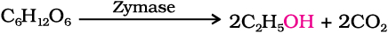 4856.png