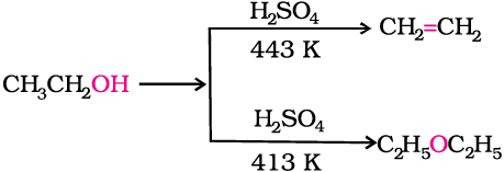 4868.png