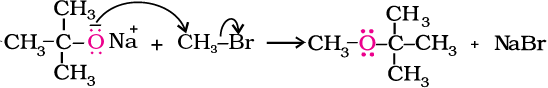 4892.png