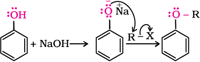 4910.png