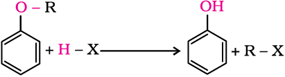 4942.png